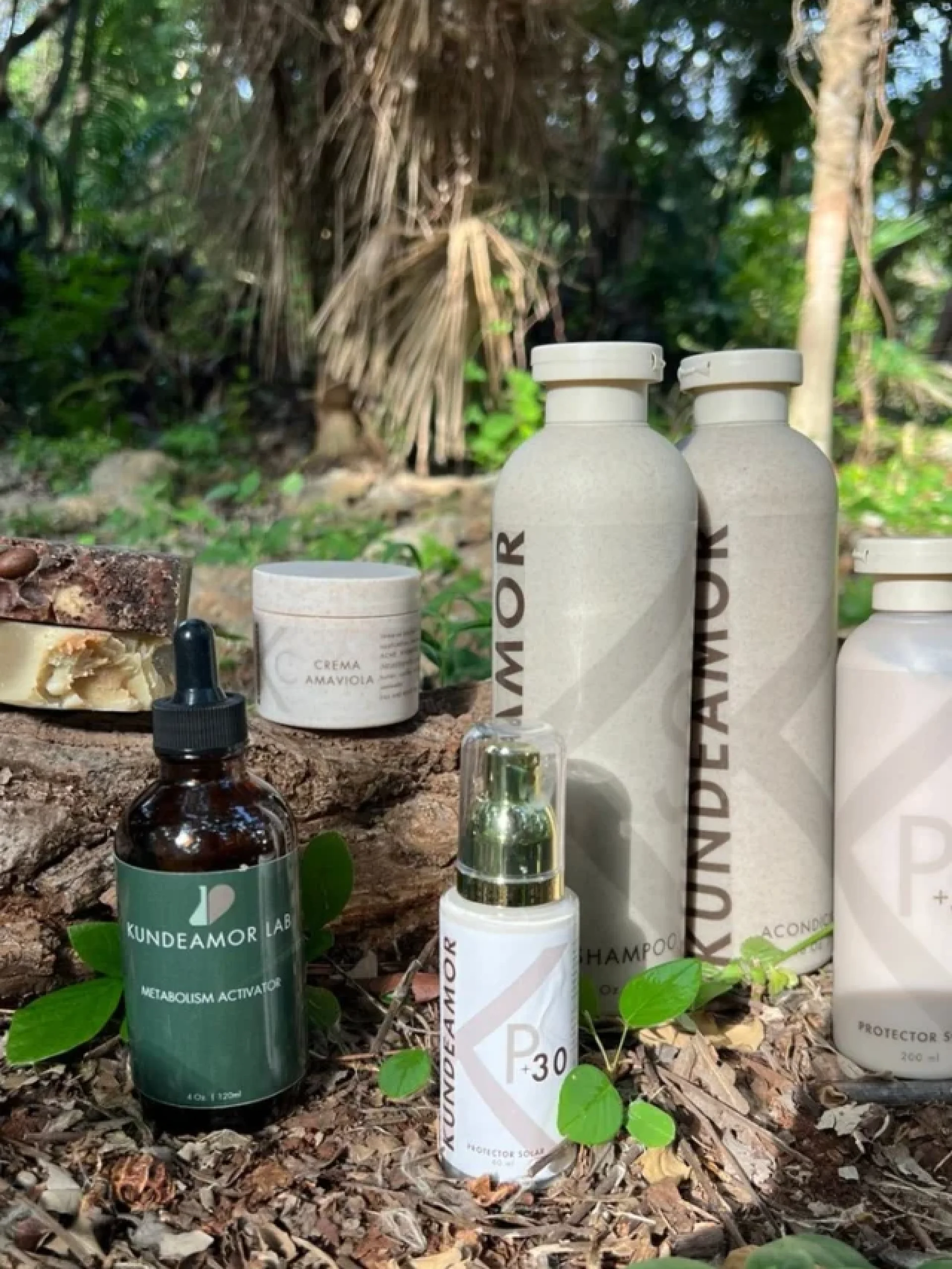 534309783_18077645852304278_7519397719146849578_nfull